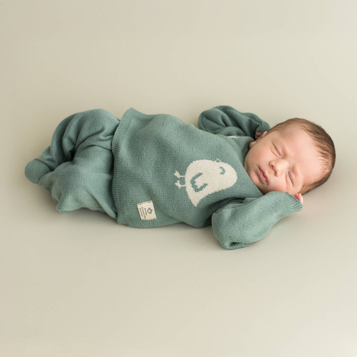 Micu Micu - Teal Knitted Cotton Coming Home Set with Bird Detail