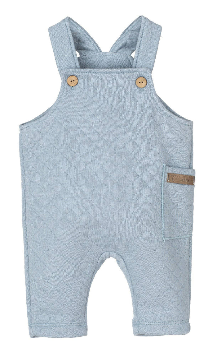 Baby Boy Powder Blue Dungaree