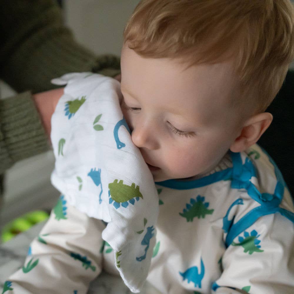 Tractor and Dinosaur Blue Hue Washcloths