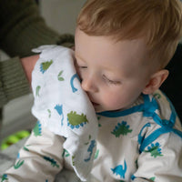 Tractor and Dinosaur Blue Hue Washcloths