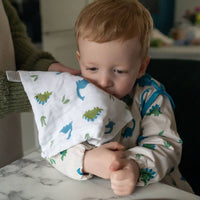 Tractor and Dinosaur Blue Hue Washcloths