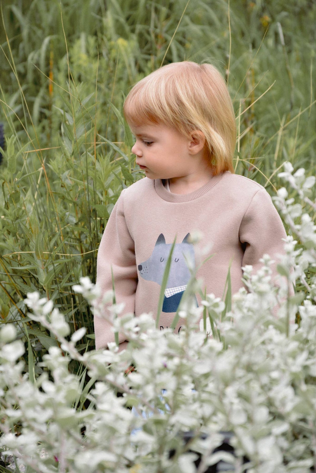 Baby / Kid Sweatshirt Wolf Print OEKO-TEX