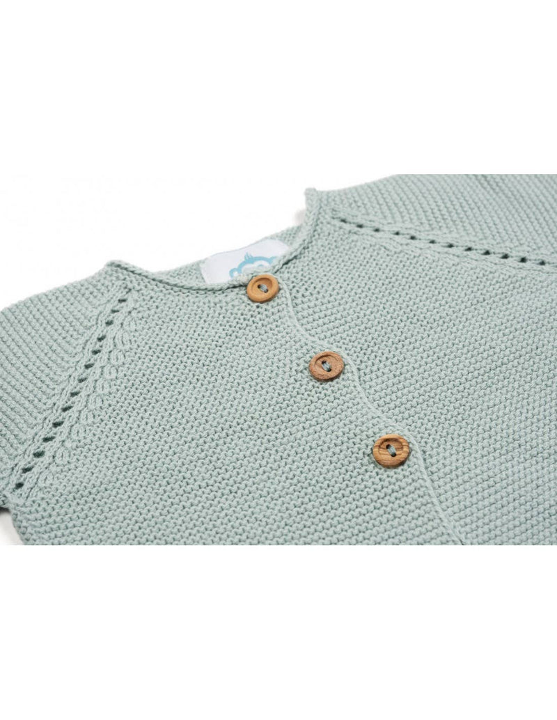 Newborn/ Coming Home Outfit in Mint