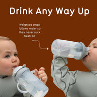 Tall Tippy Up Sippy Cup, with Weighted Straw (Valve Free), Fergus Fox, 300ml, Series 3