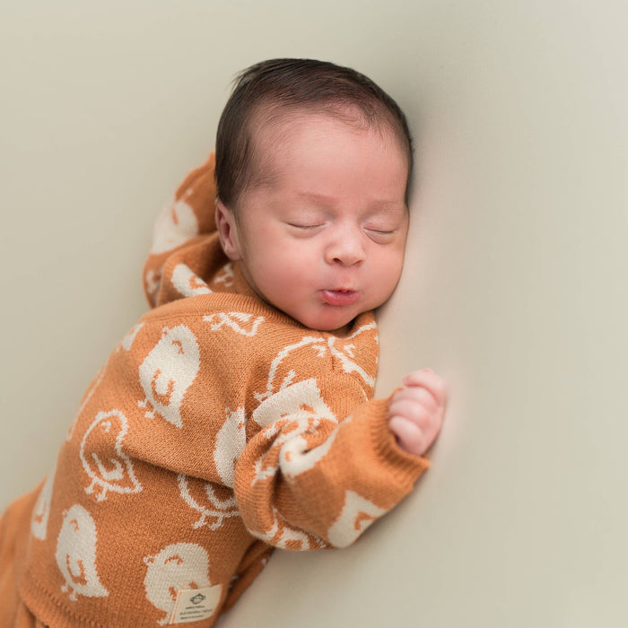 micu micu - Newborn Pack birds brick-red