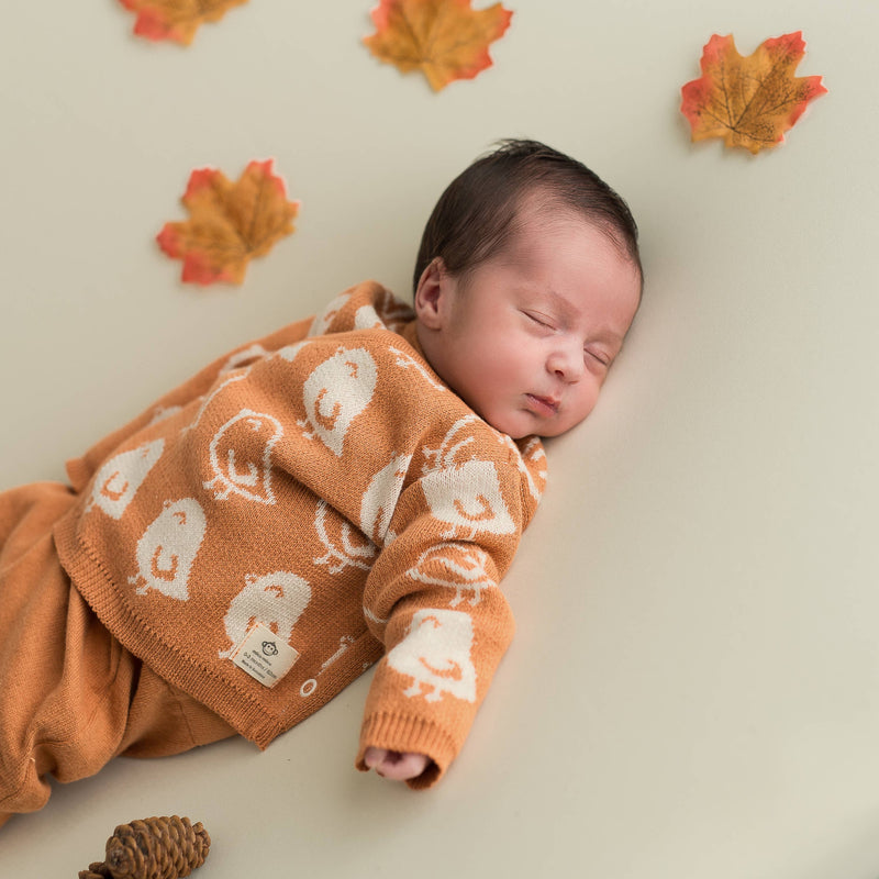 micu micu - Newborn Pack birds brick-red