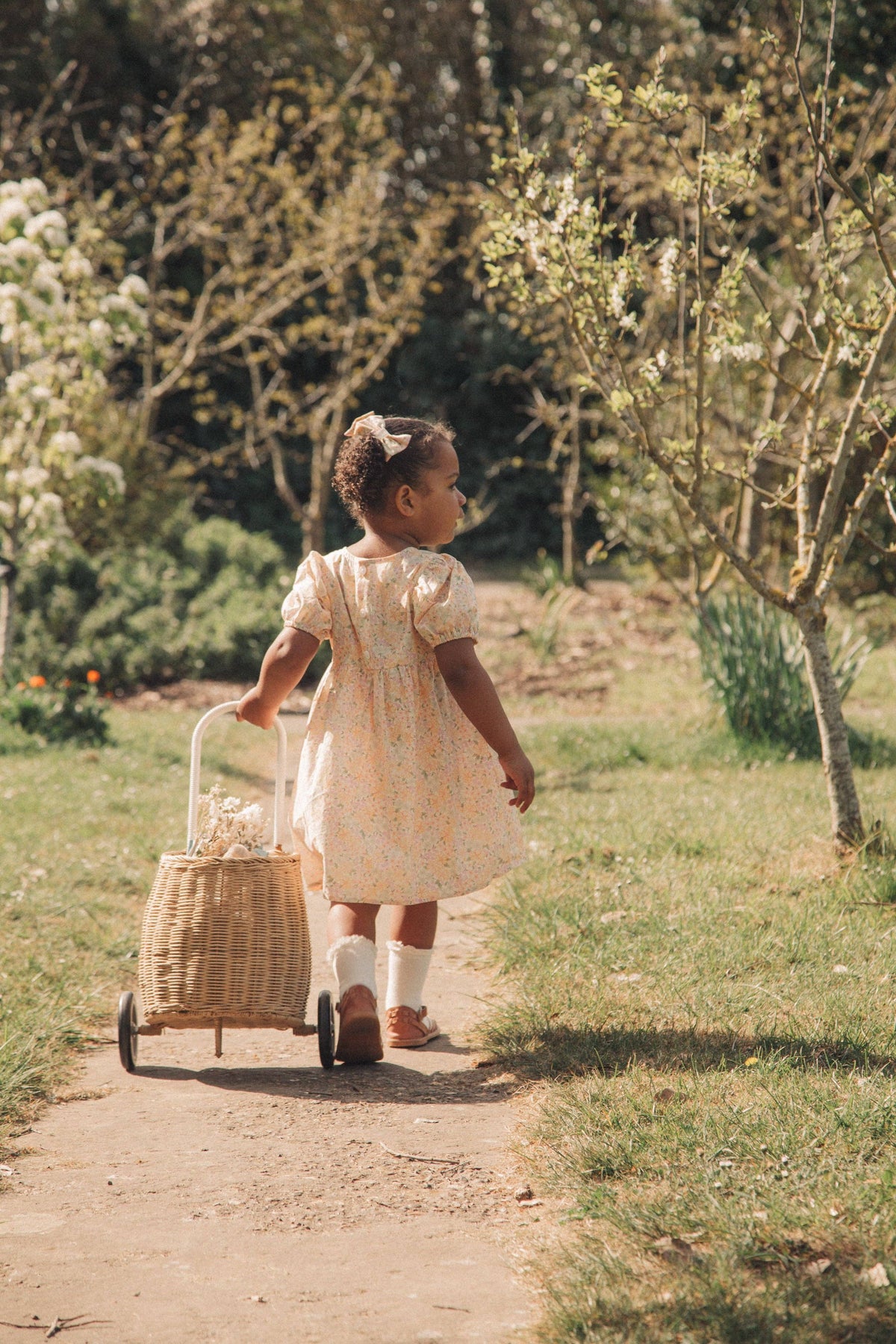 Spring Meadow Puff Short Sleeve Dress
