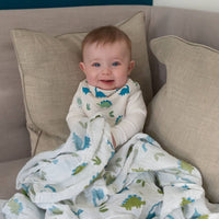 Dinosaurs Swaddle
