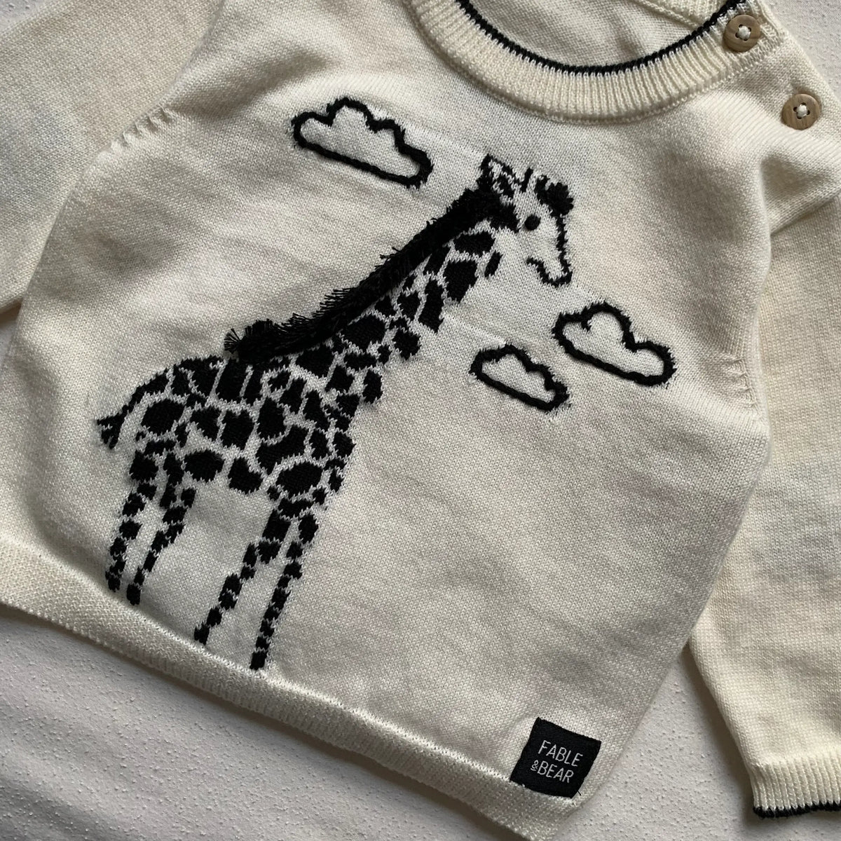Giraffe Jumper - Oct 2026
