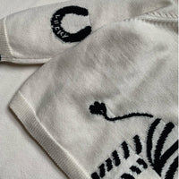Lucky Zebra Jumper
