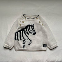 Lucky Zebra Jumper
