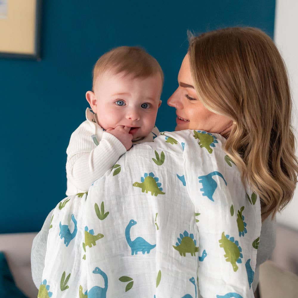 Dinosaurs Swaddle