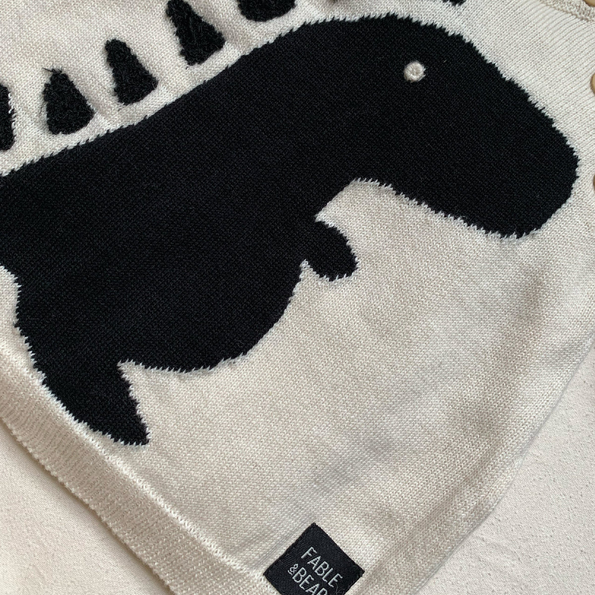 Dino Jumper - Toddler
