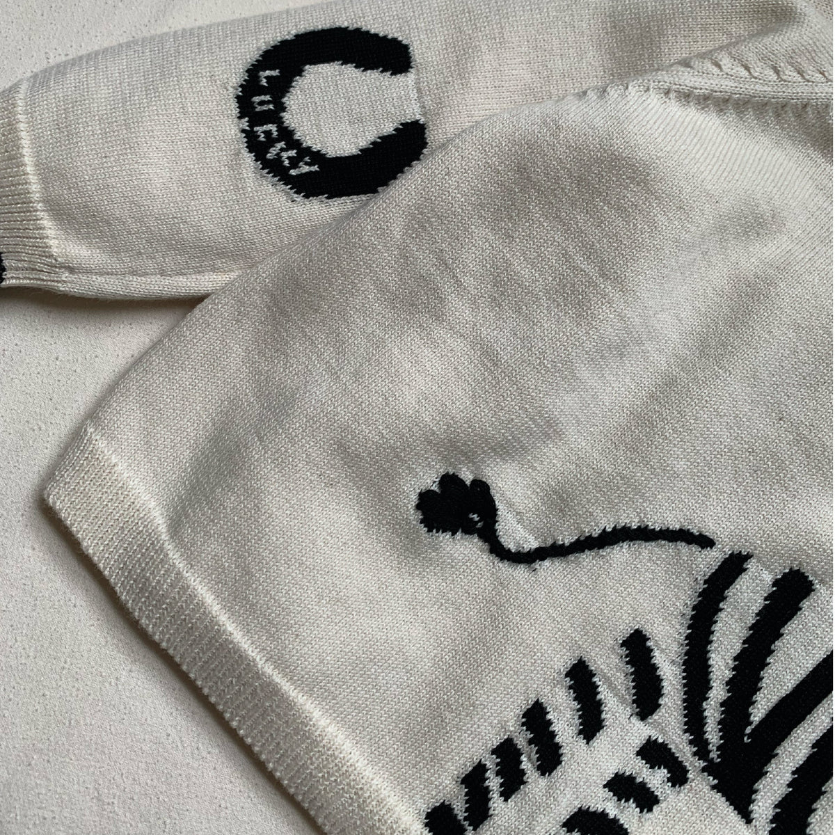Lucky Zebra Jumper- Toddler