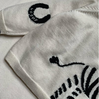 Lucky Zebra Jumper- Toddler