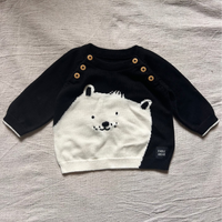 Polar Bear Jumper