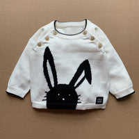 Bunny Jumper - Toddler