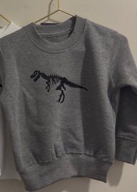 Dino sweater