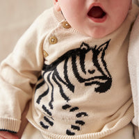 Lucky Zebra Jumper- Toddler
