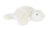 Terry the Turtle