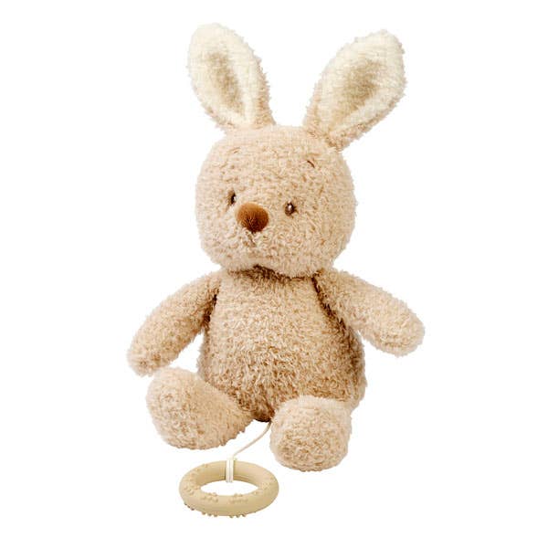 Nattou Teddy - Baby Rabbit  Musical