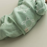 Newborn/ Home Coming Set - Mint with cream turtle design