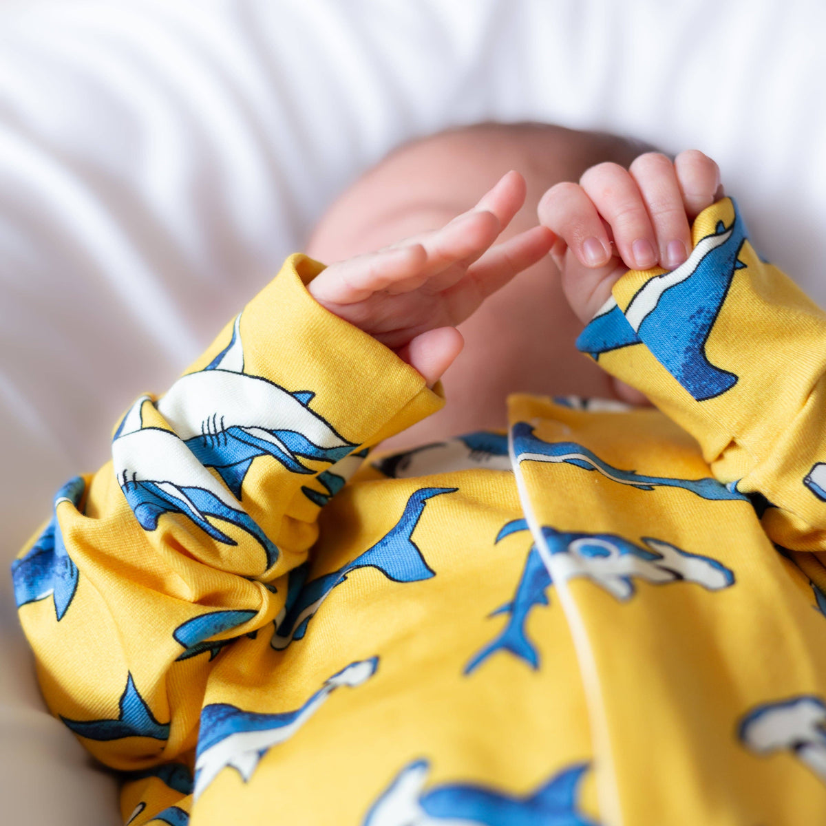 Unisex Baby Cotton Sleepsuit (Onesie) – Yellow shark Print
