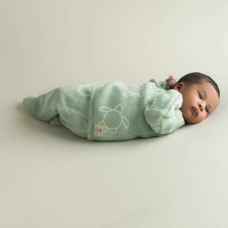 Newborn/ Home Coming Set - Mint with cream turtle design
