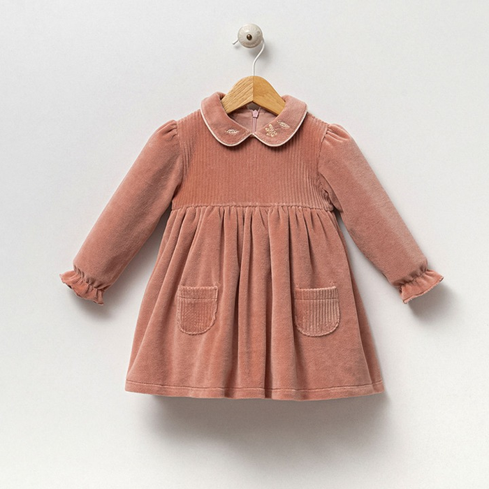 Soft Velvet Dress with Modern Design Embroidered Collar