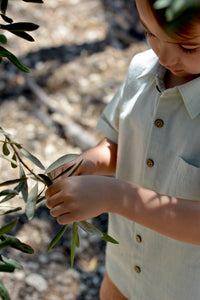 Baby / Children's Shirt 100% Cotton