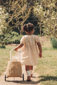 Spring Meadow Puff Short Sleeve Dress